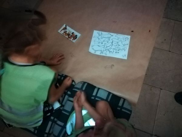 IMG_20180619_104127.jpg