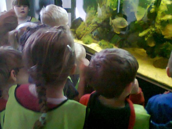 image_213236_19700118_170938.jpg