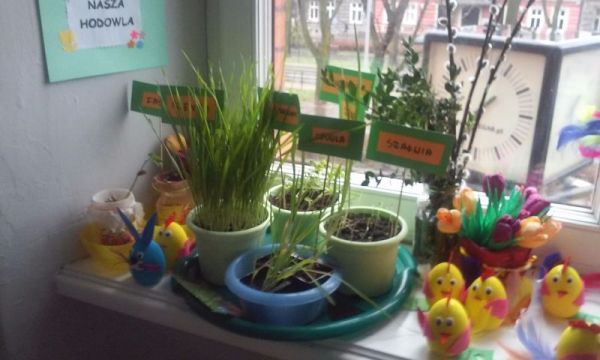 20150331_133334.jpg