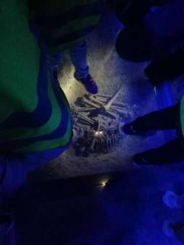 IMG_20211022_110548141.jpg