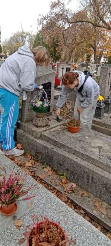 IMG-20241030-WA0016.jpg