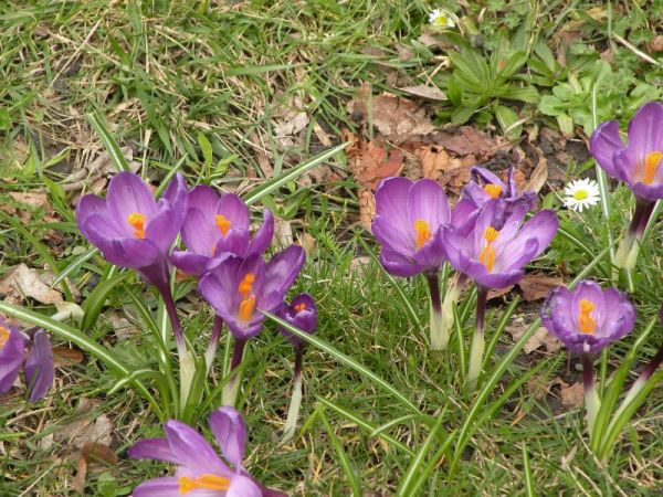 DSCN0557.JPG