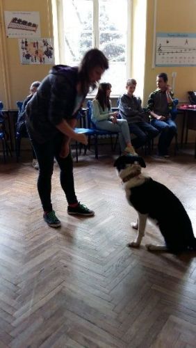 20180423_122501.jpg