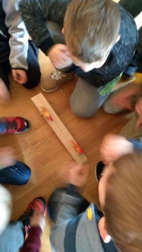 IMG_20171010_105312.jpg