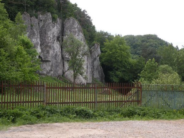 DSCN9408.JPG