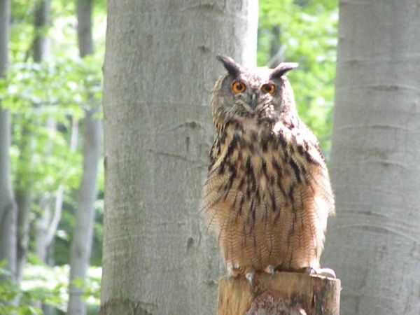 DSCN0750.JPG