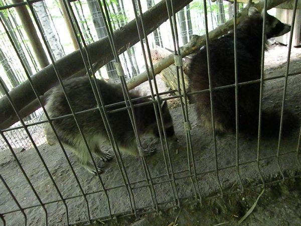 DSCN0753.JPG