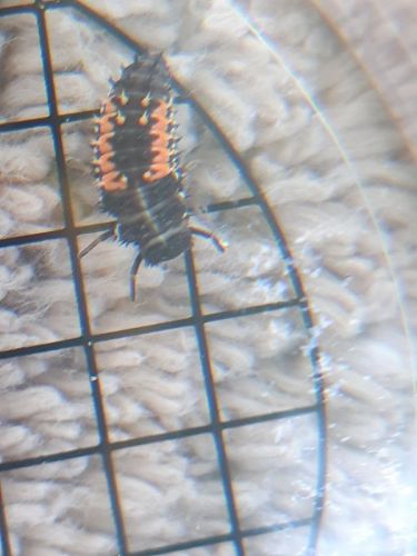20210617_110329.jpg