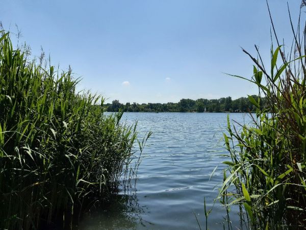 20210617_115517.jpg
